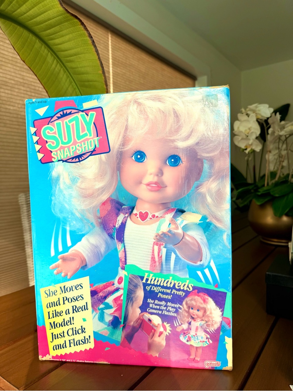Vintage Suzy SnapShot